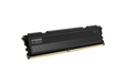 16GB (1x16GB) DDR5 5600MHz CL30 KLEVV FIT V RAM
