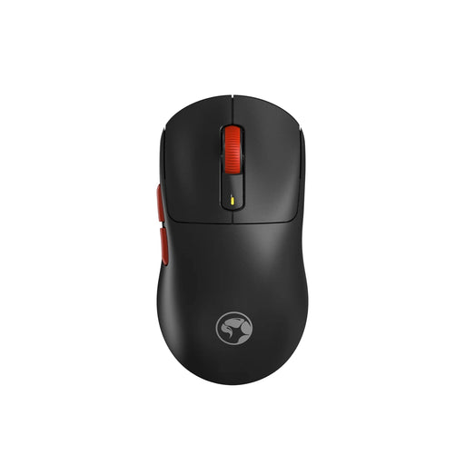 Mice image